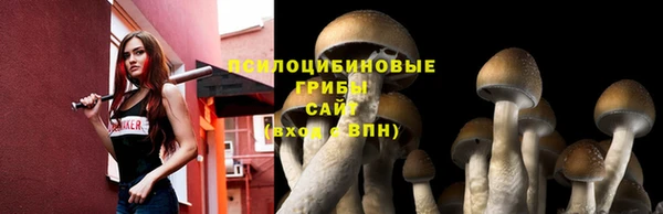 ALPHA-PVP Зеленокумск
